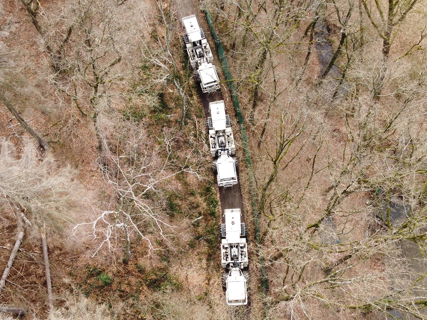 Die Vibro-Trucks sind oft auf Waldwegen abseits der Hauptverkehrsachsen unterwegs.