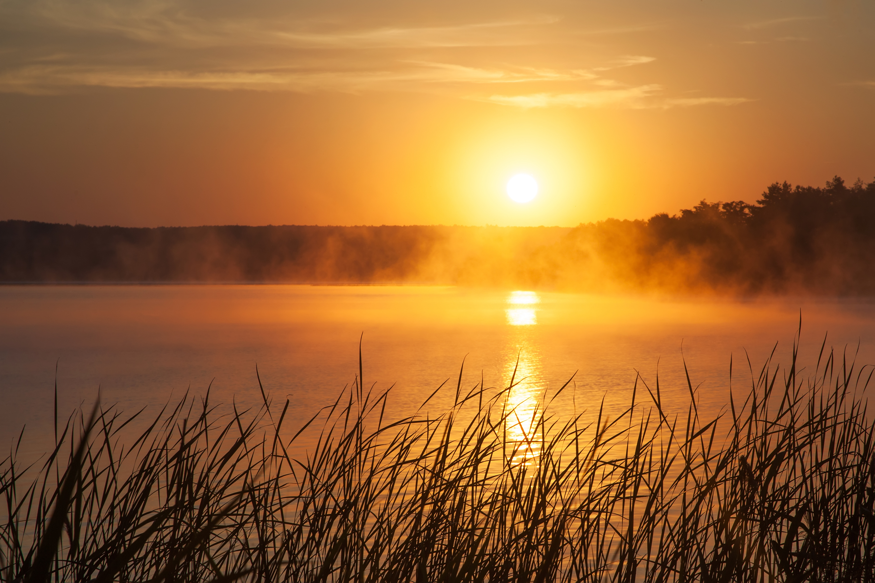 Sunrise on the lake. Early morning landscape. mist on the water, forest silhouettes and the rays of the rising sun.