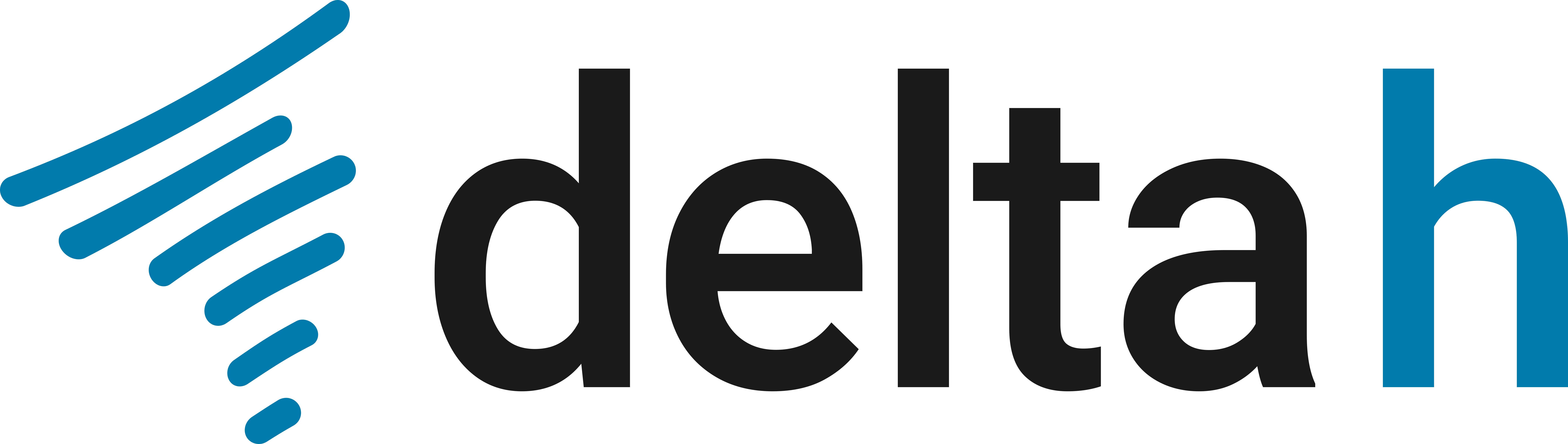 delta h Ingenieurgesellschaft GmbH